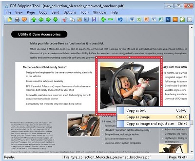 PDF Snipping Tool Single License